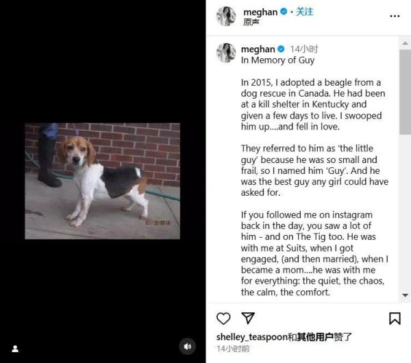 开云体育(中国)官方网站它是悉数女孩同目不转睛的男孩-开云kaiyun下载官网手机版「官方」最新下载IOS/安卓版/手机版APP